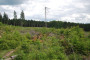 2012-06-10 Hohenroth 128.jpg